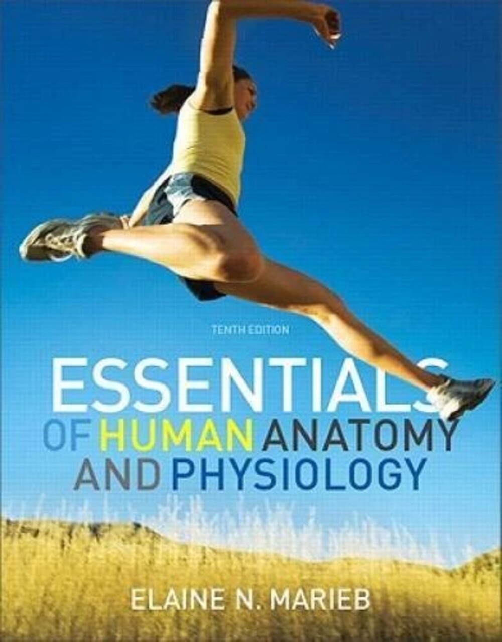 Essentials of Human Anatomy & Physiology (10th Edition) - Paperback - GOOD